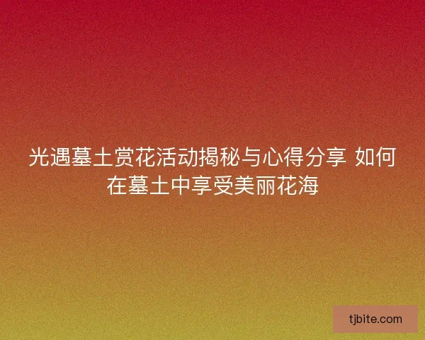光遇墓土赏花活动揭秘与心得分享 如何在墓土中享受美丽花海