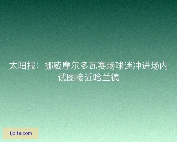 太阳报：挪威摩尔多瓦赛场球迷冲进场内试图接近哈兰德
